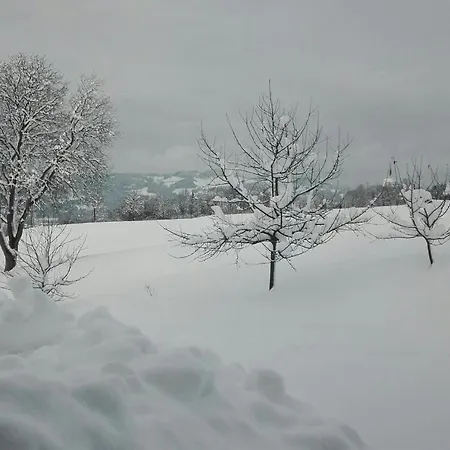 农家乐 Selbstversorgerhuette Plafing