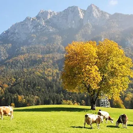 Selbstversorgerhuette Plafing * 埃布斯镇