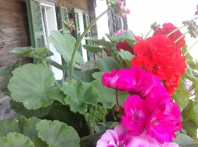 Selbstversorgerhuette Plafing *