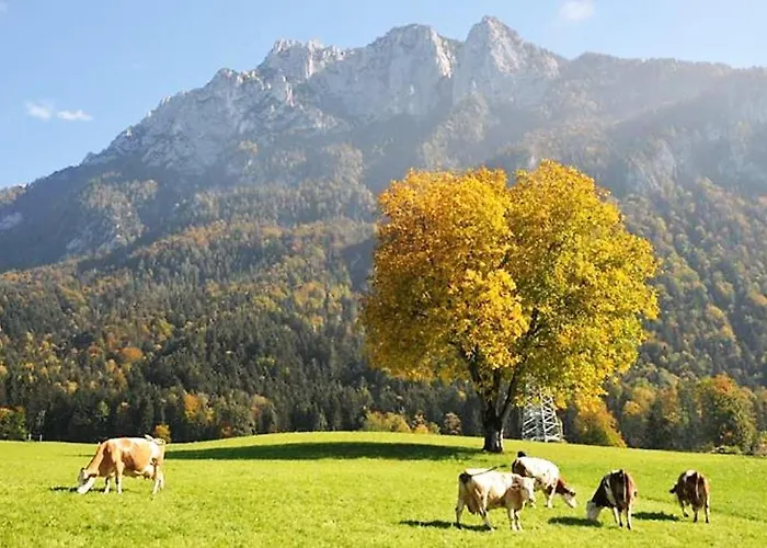 Selbstversorgerhuette Plafing * Ebbs